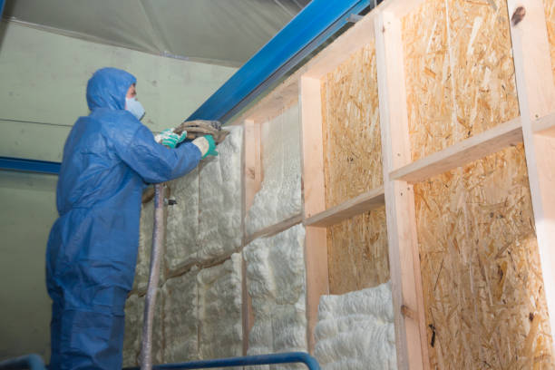 Insulation for Commercial Buildings in Pierson, FL